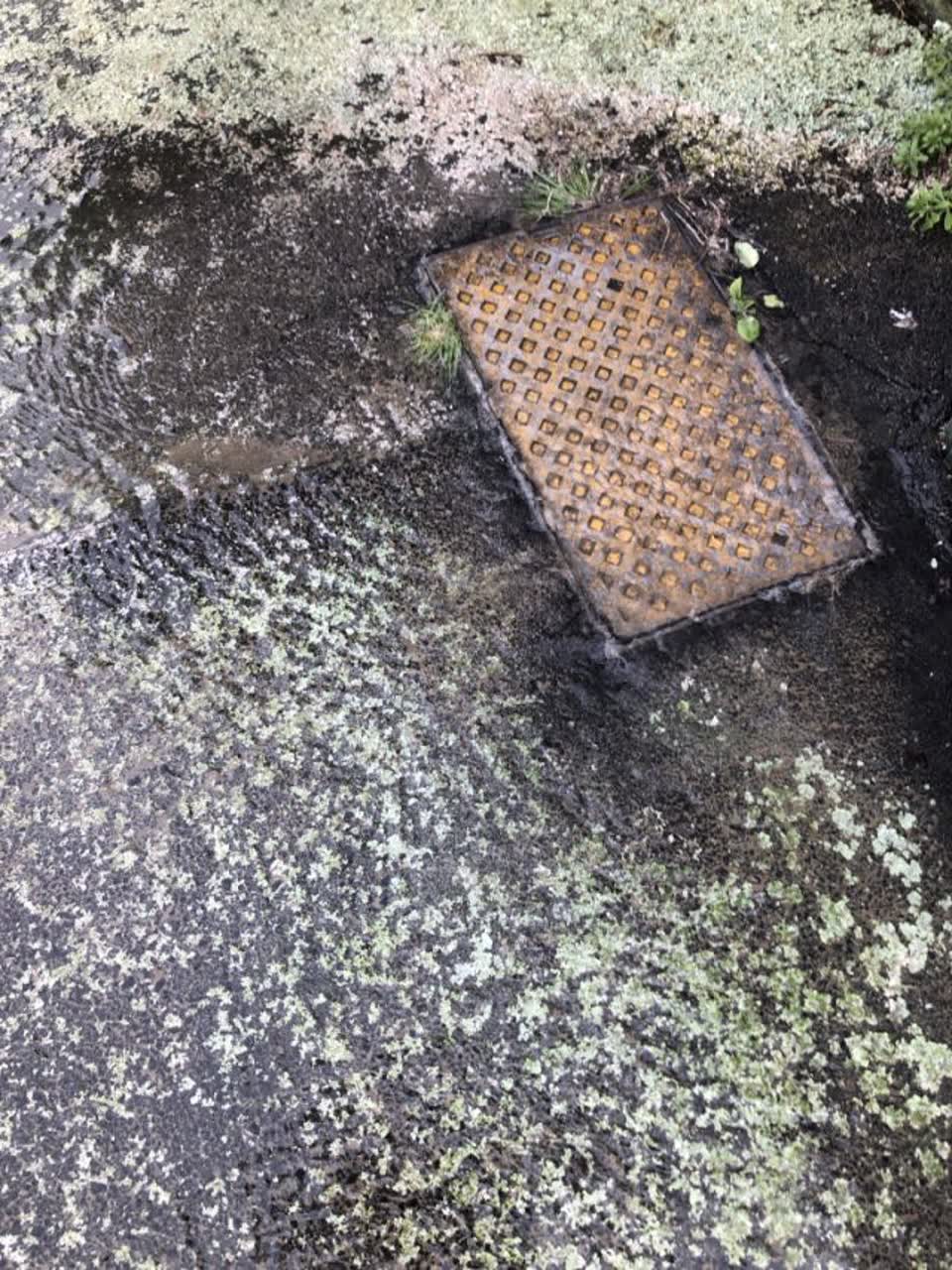 The photograph attached to this water supply report