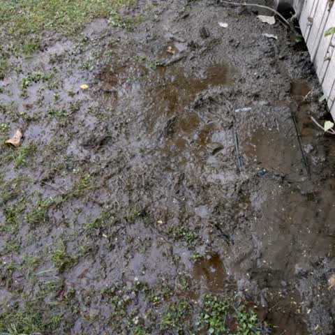 Water Supply — a report photo