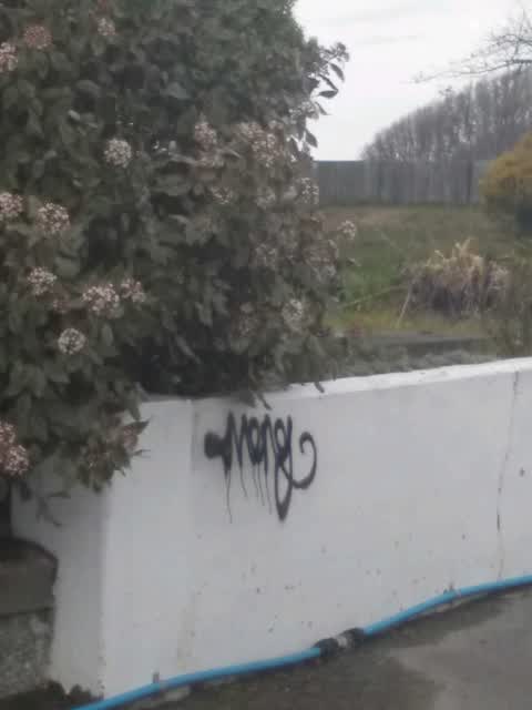 Graffiti, a report photo