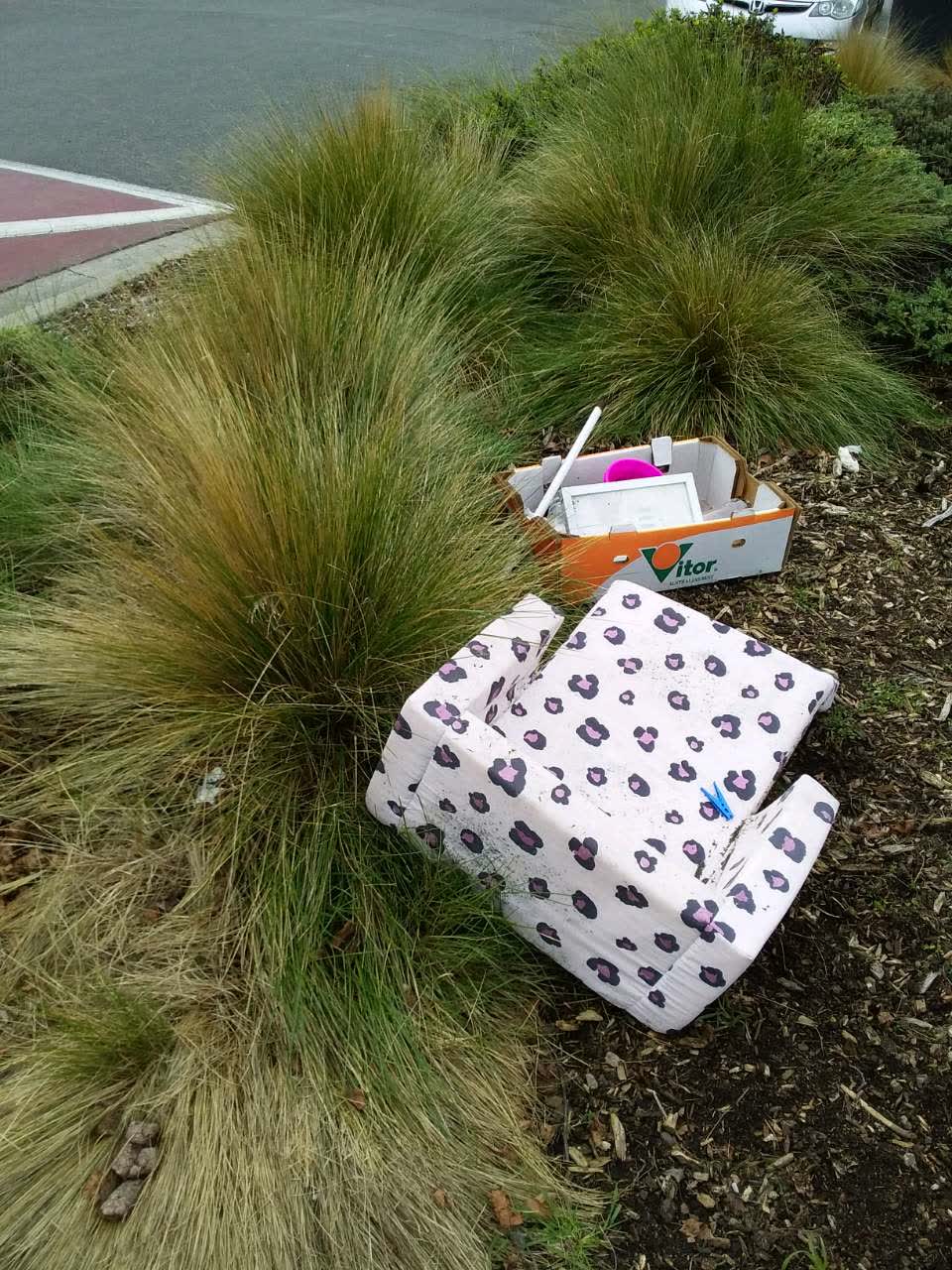 The photograph attached to this rubbish/recycling report