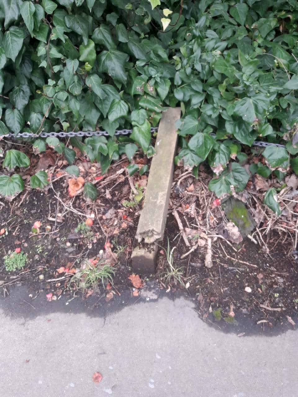 The photograph attached to this parks report