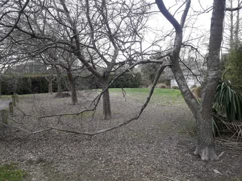 Parks, a report photo