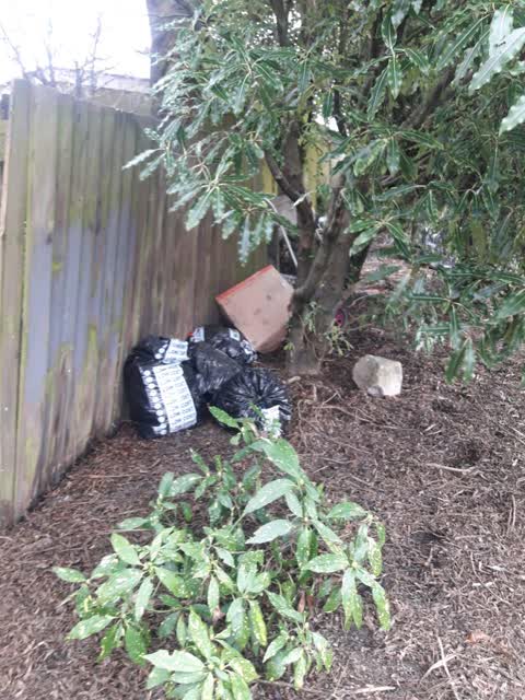 Rubbish/Recycling — a report photo