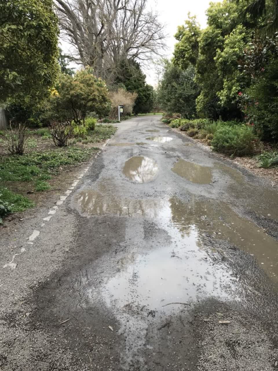 The photograph attached to this parks report