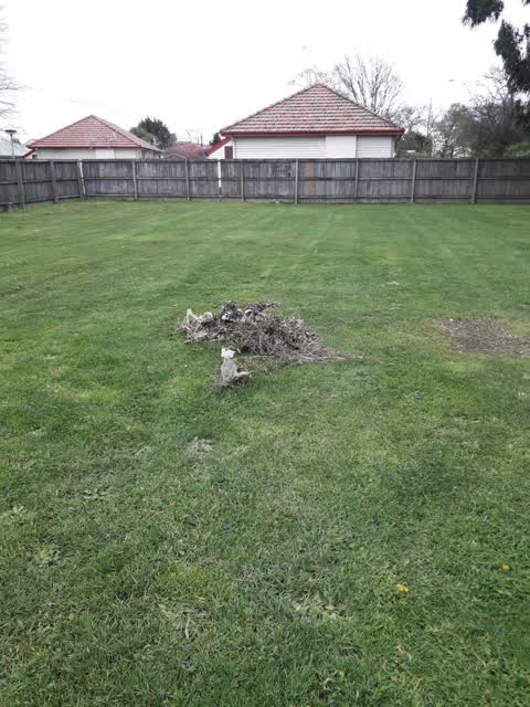 Rubbish/Recycling, a report photo