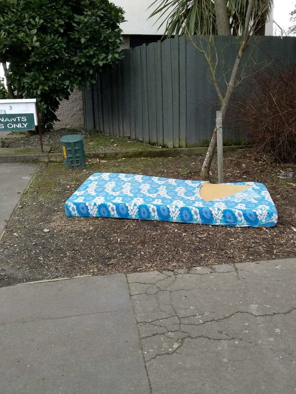 The photograph attached to this rubbish/recycling report