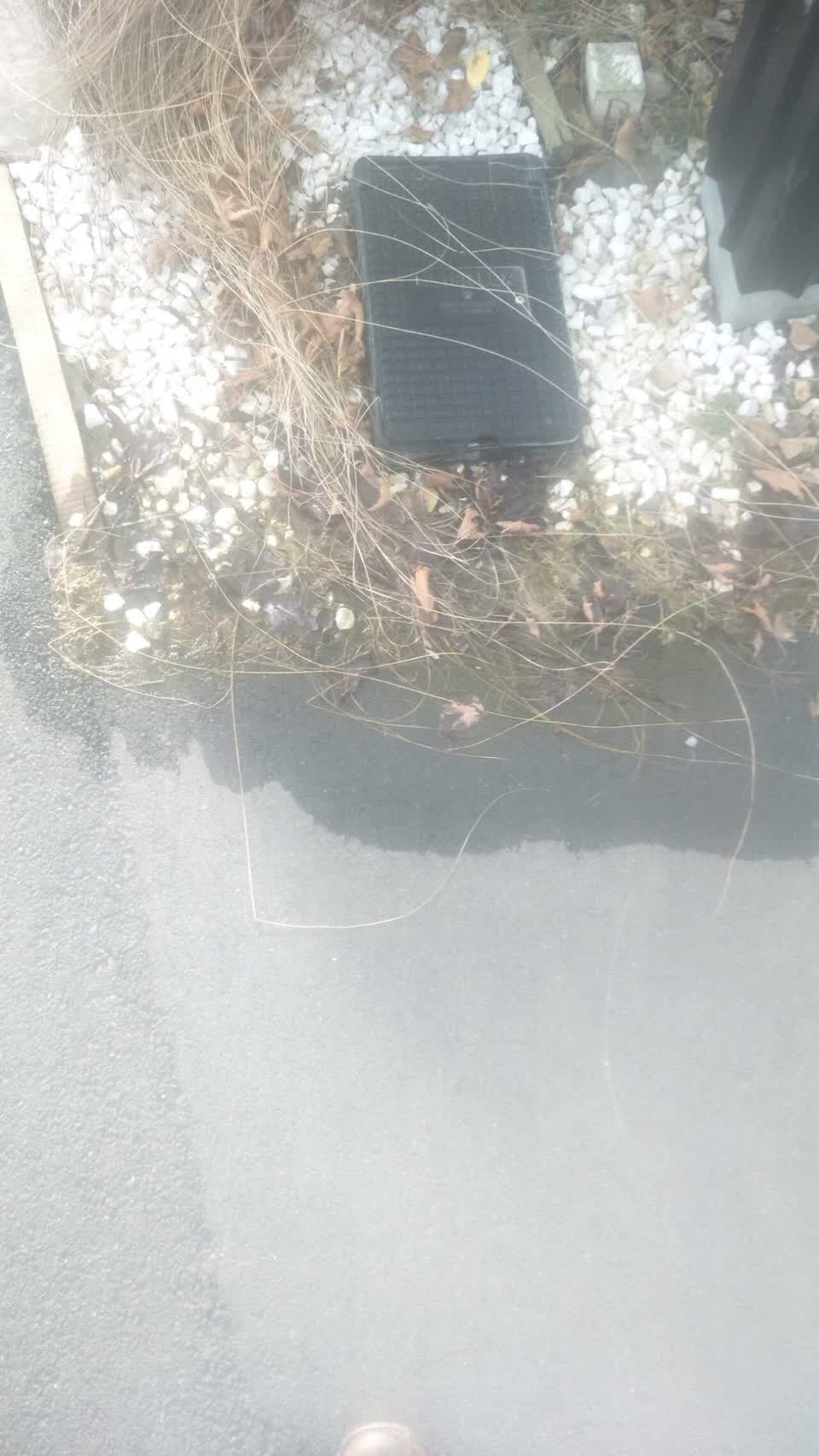 The photograph attached to this water supply report