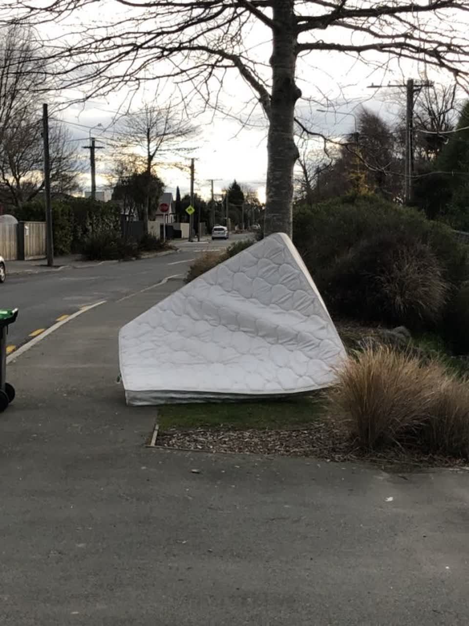 The photograph attached to this rubbish/recycling report