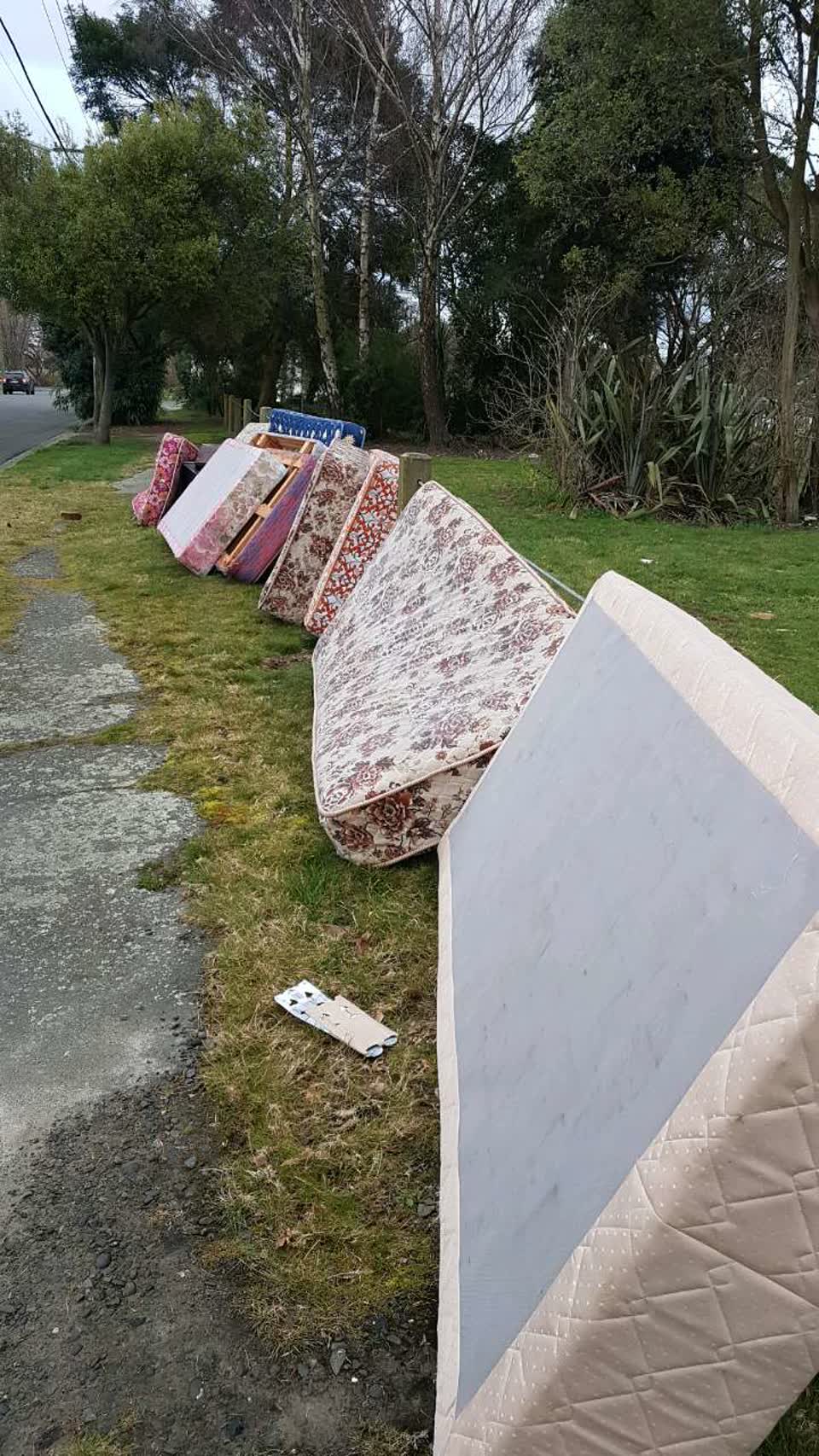 The photograph attached to this rubbish/recycling report