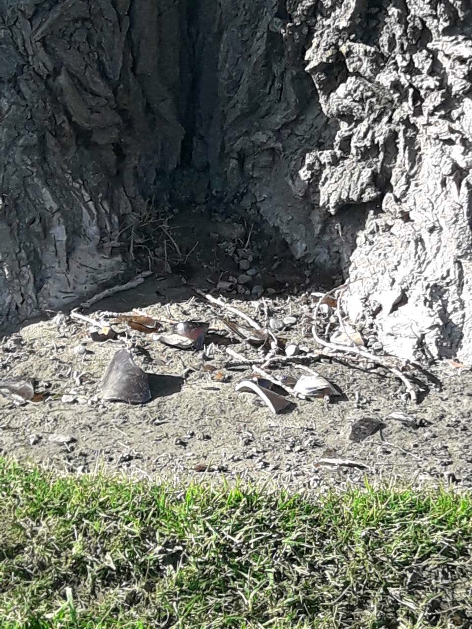 The photograph attached to this rubbish/recycling report