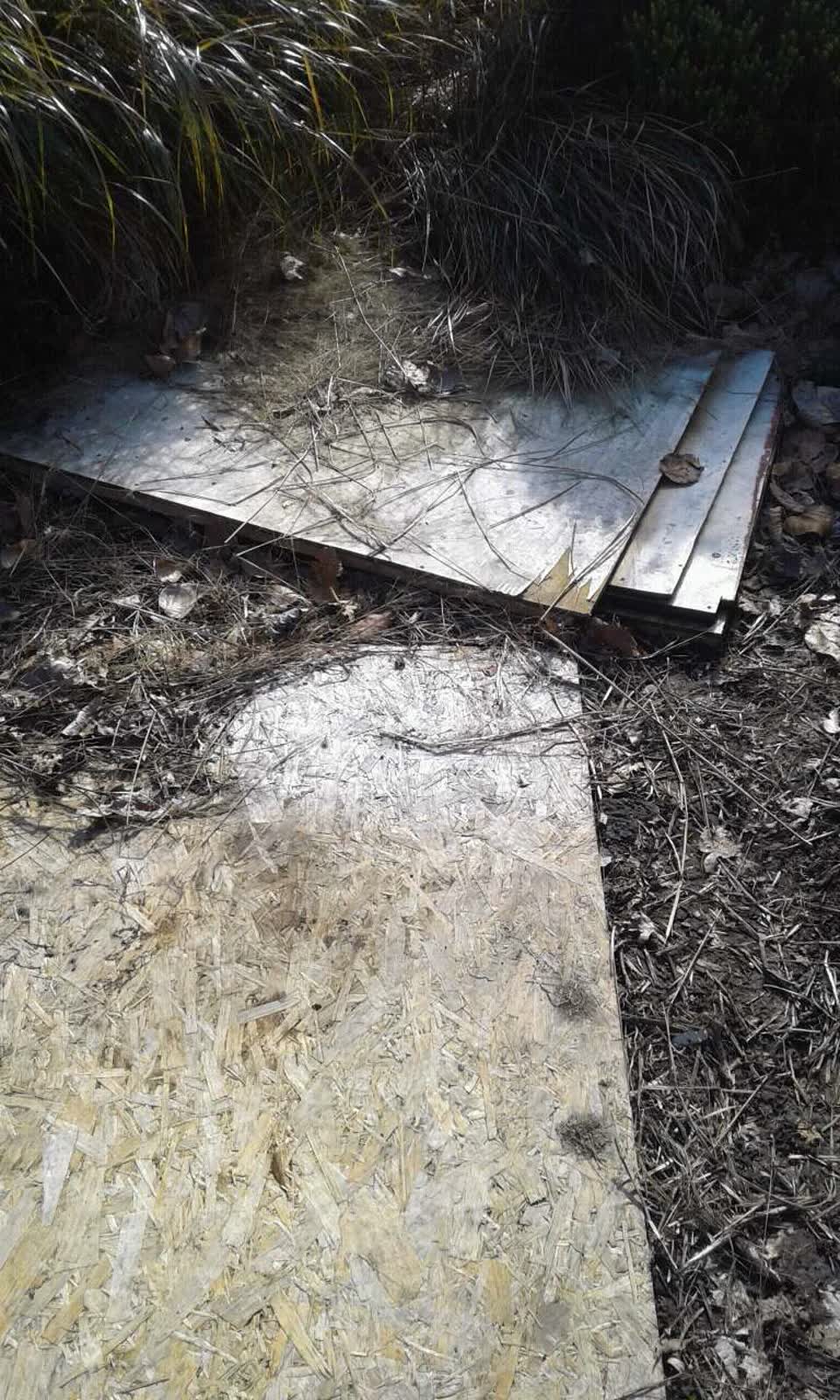 The photograph attached to this parks report