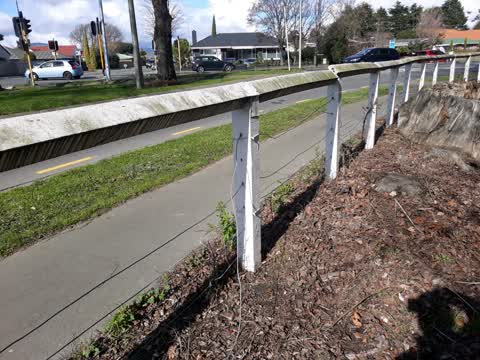 Parks, a report photo
