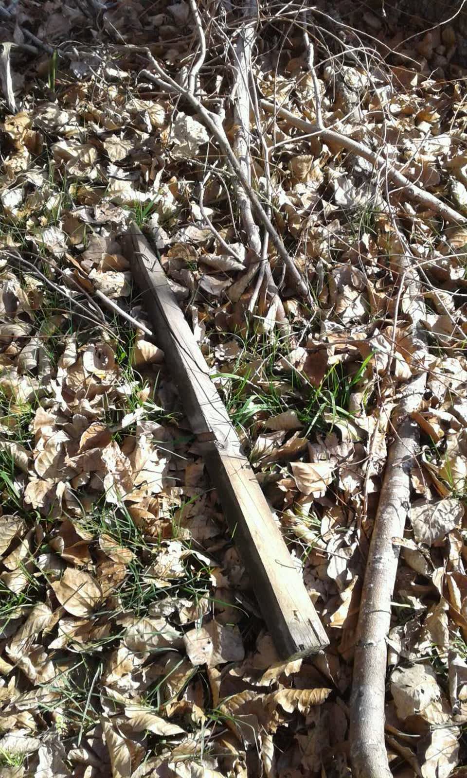 The photograph attached to this parks report