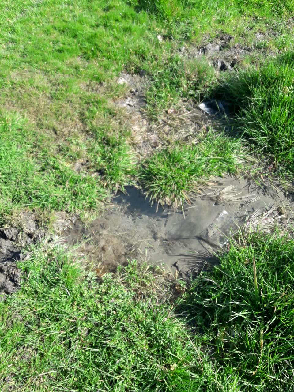 The photograph attached to this water supply report