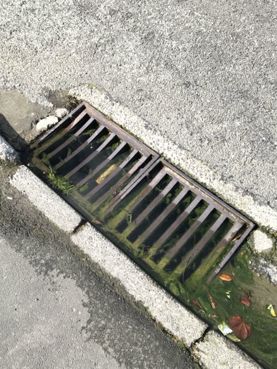 The photograph attached to this wastewater/stormwater report