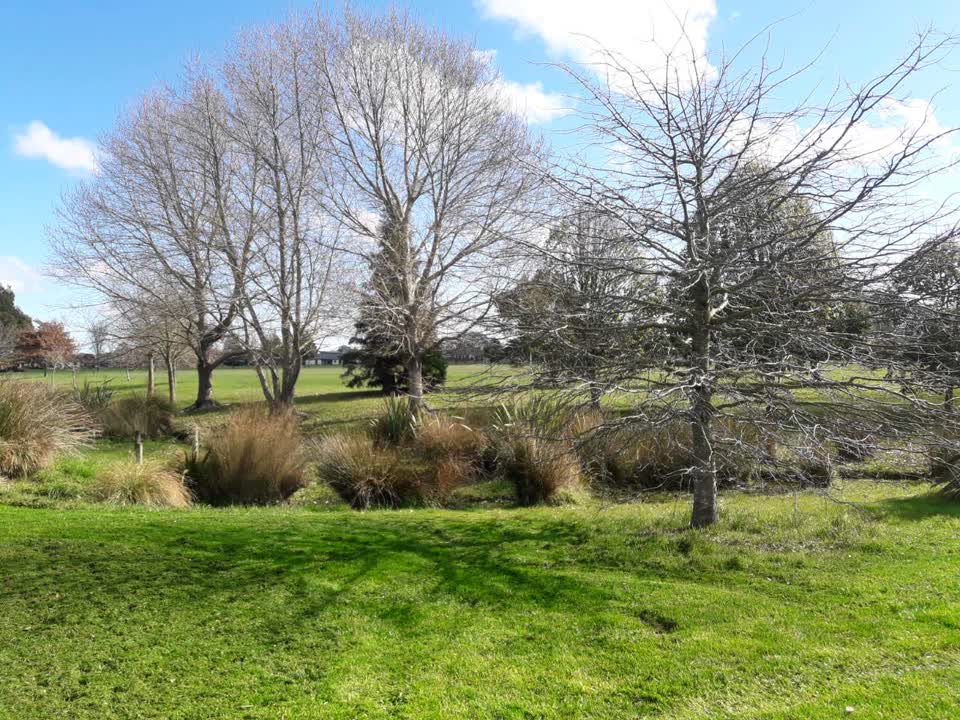 The photograph attached to this parks report