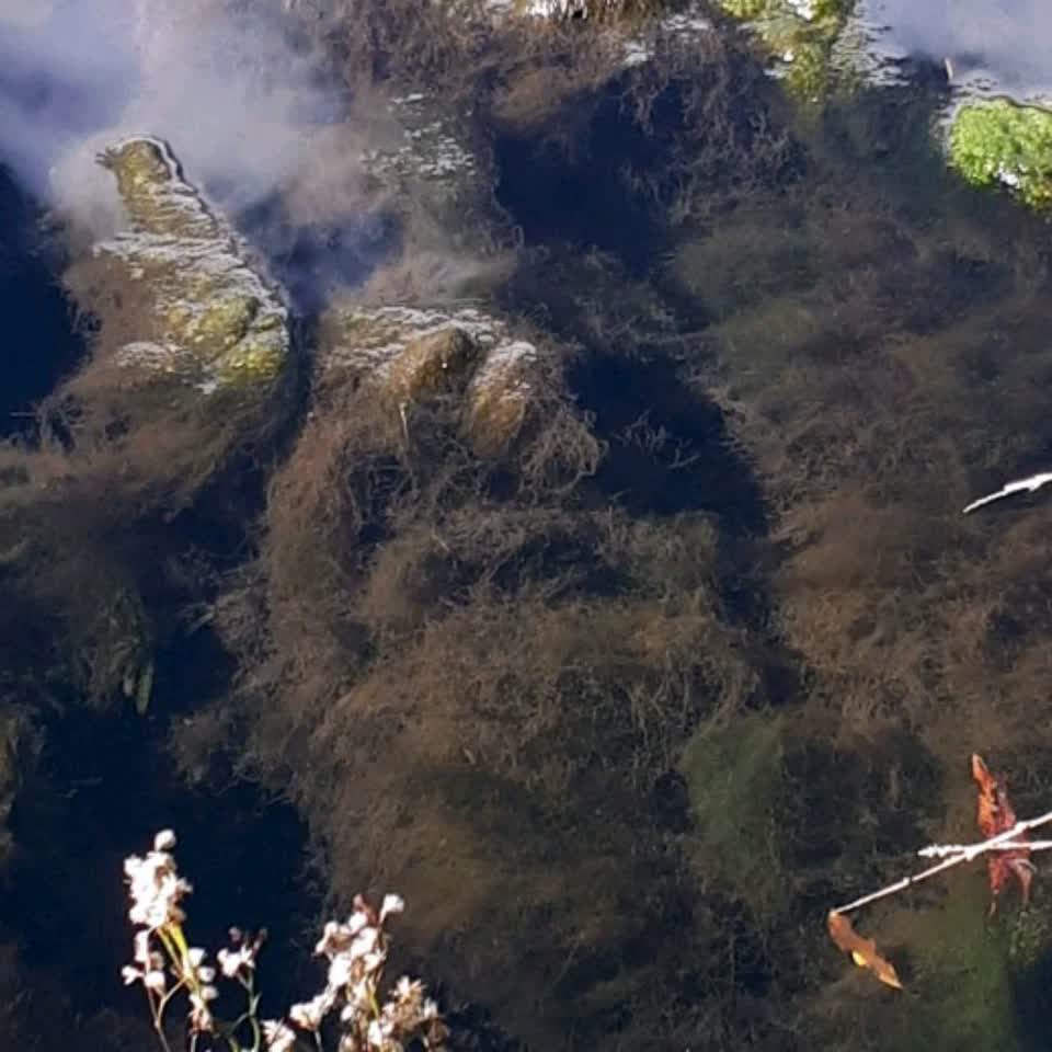 The photograph attached to this water supply report