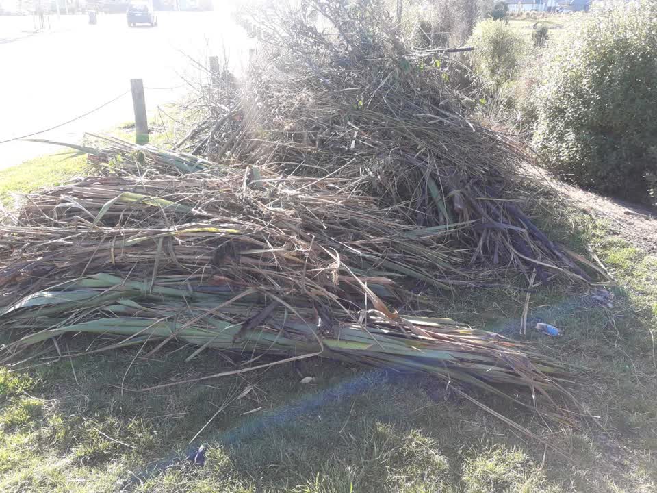 The photograph attached to this parks report