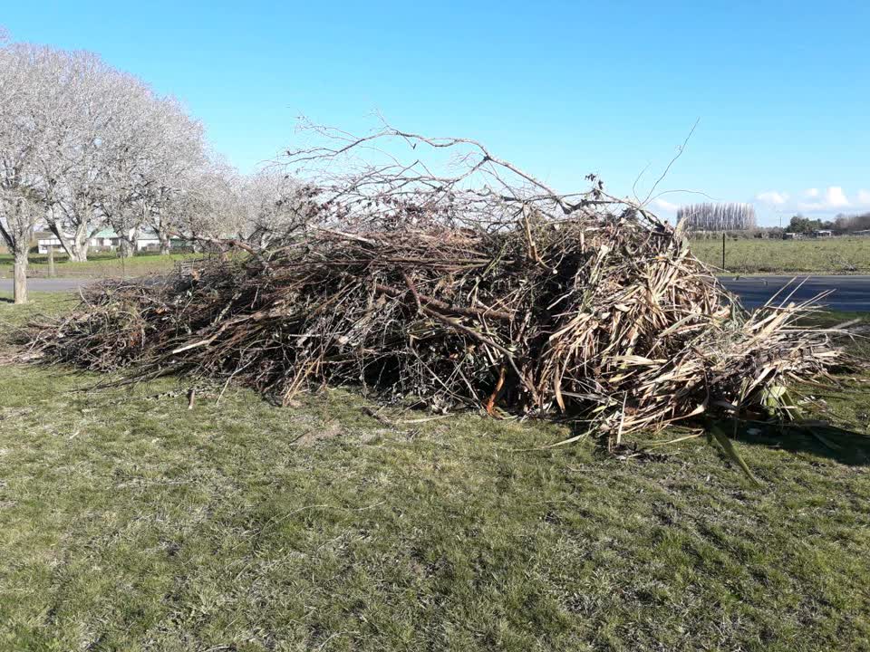 The photograph attached to this parks report
