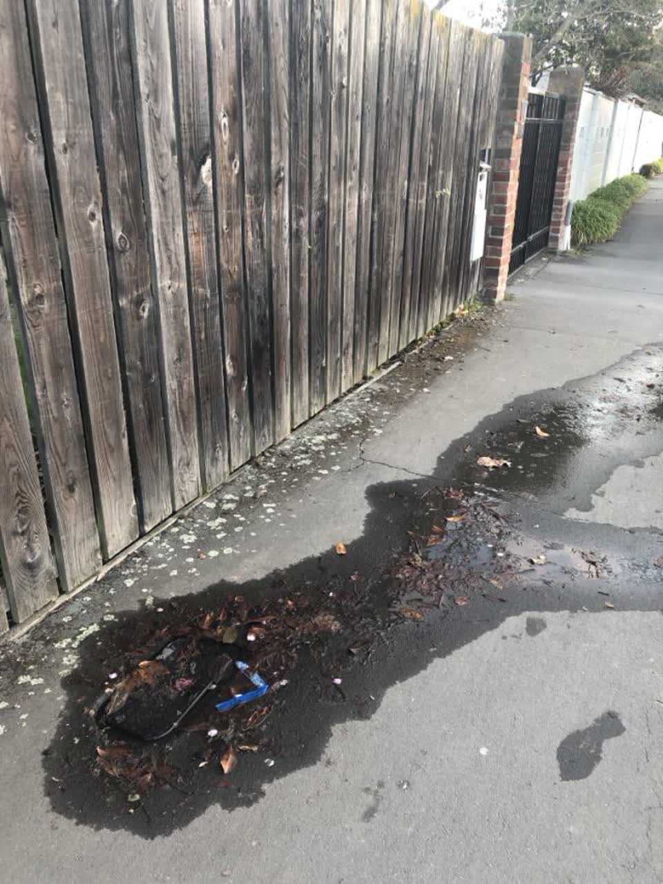 The photograph attached to this roading/streets report