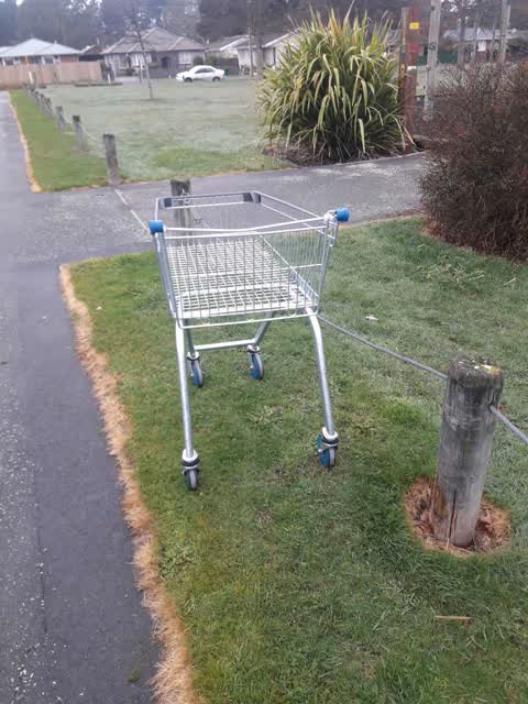 Rubbish/Recycling, a report photo
