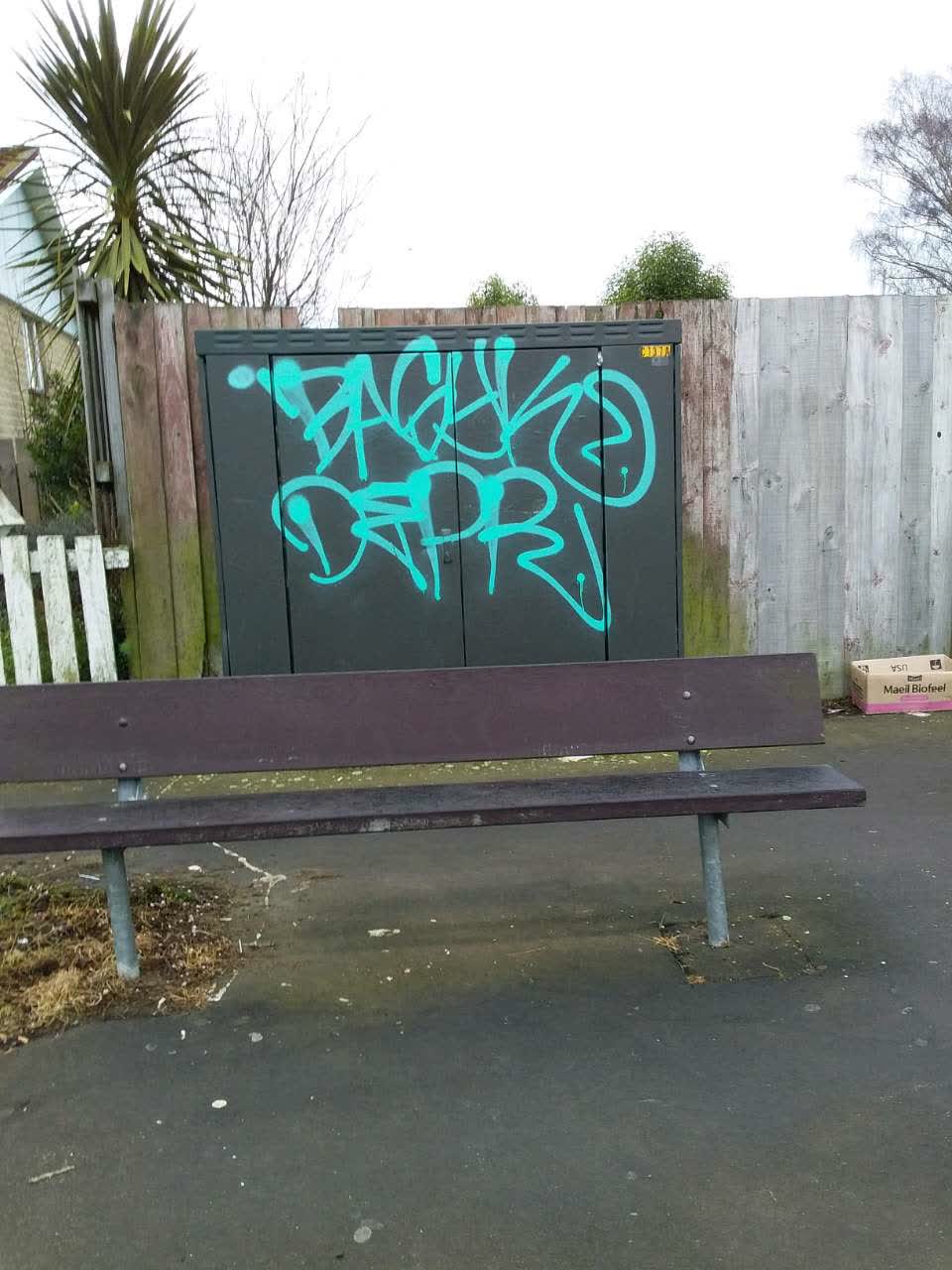 The photograph attached to this graffiti report