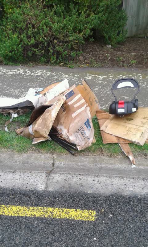 Rubbish/Recycling, a report photo