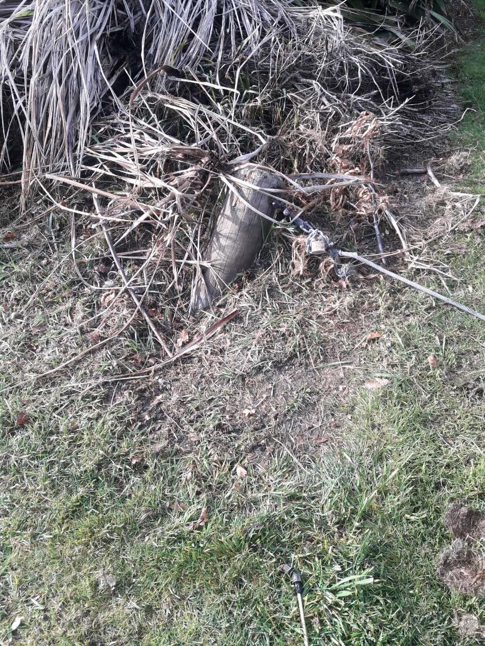 The photograph attached to this parks report