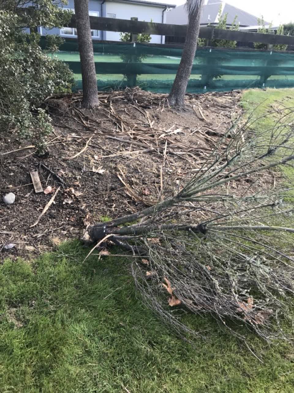 The photograph attached to this parks report