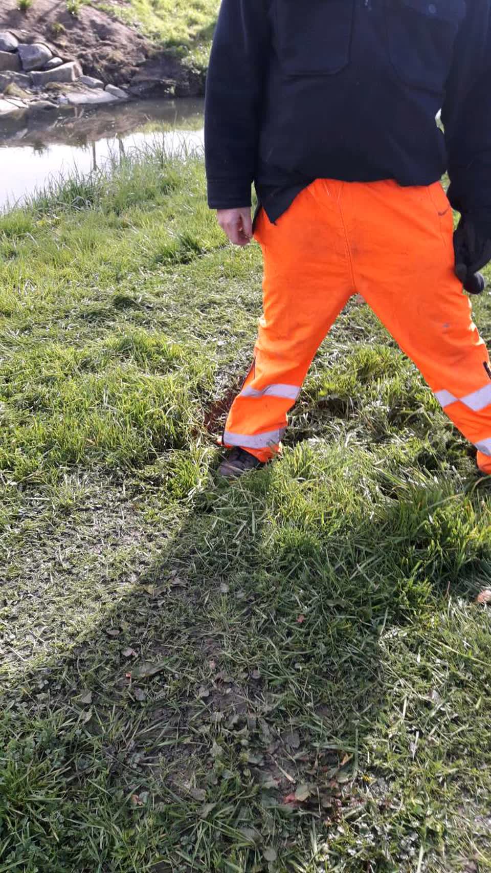 The photograph attached to this parks report