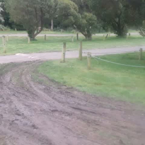 Parks, a report photo