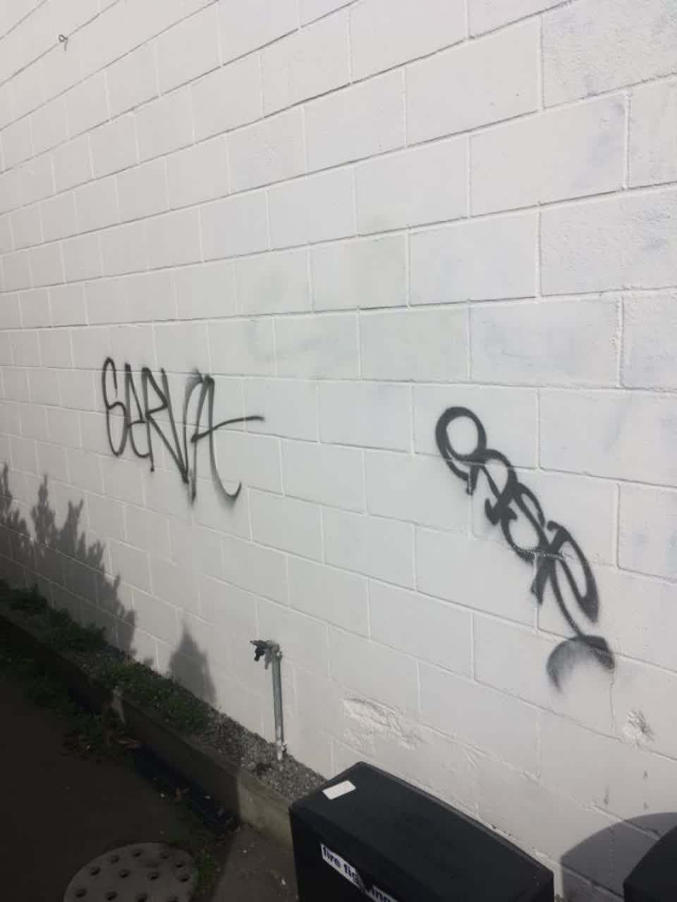 The photograph attached to this graffiti report