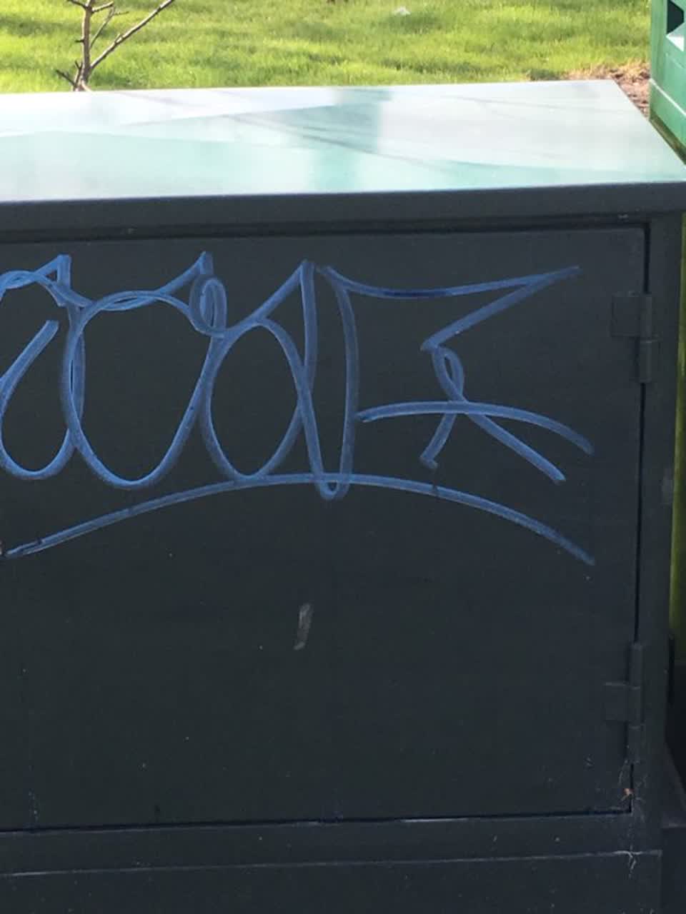 The photograph attached to this graffiti report
