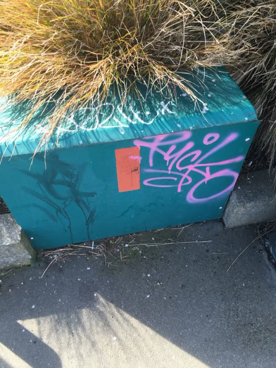 The photograph attached to this graffiti report