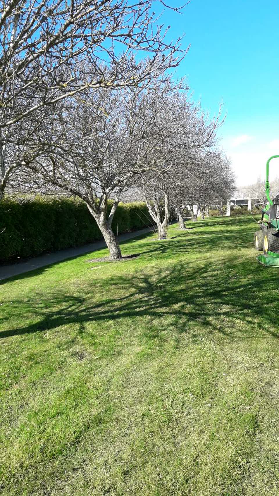 The photograph attached to this parks report