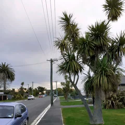 Roading/Streets, a report photo