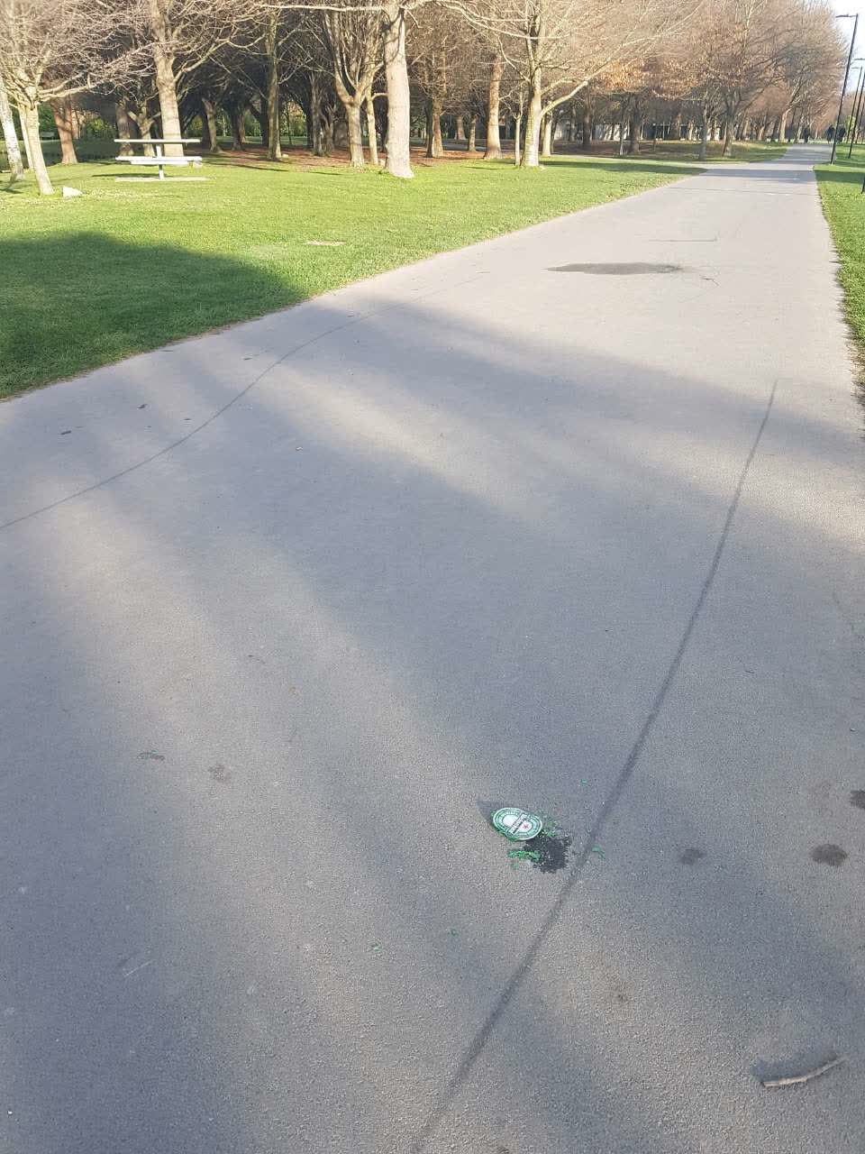 The photograph attached to this parks report