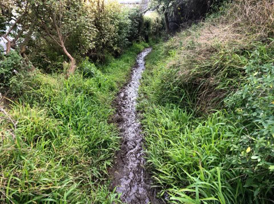 The photograph attached to this flooding report