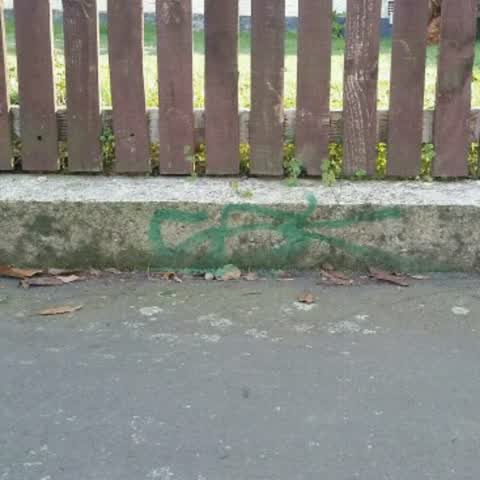 Graffiti, a report photo
