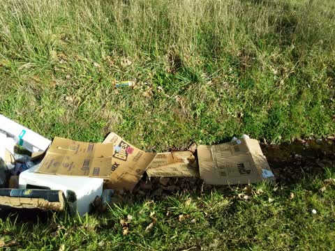 Rubbish/Recycling, a report photo