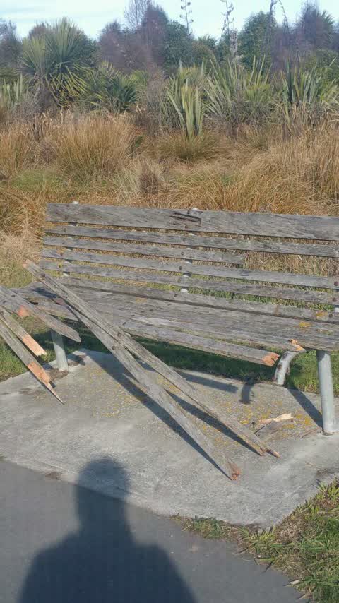 Parks, a report photo