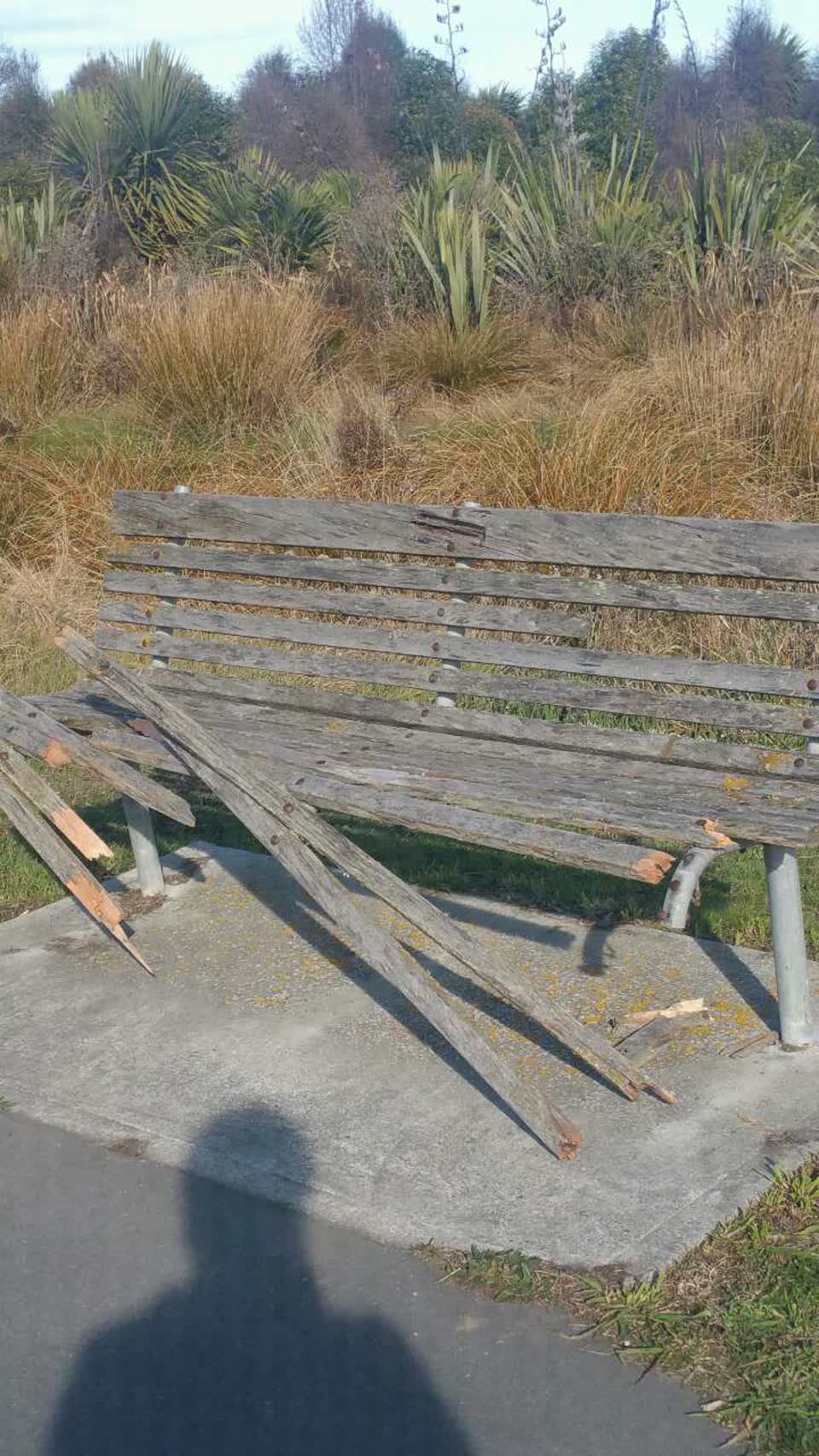 The photograph attached to this parks report