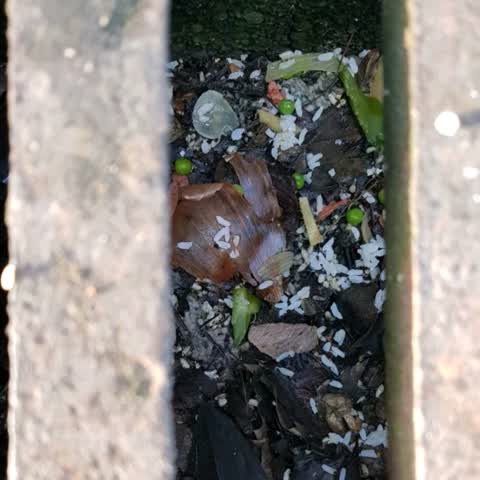 Rubbish/Recycling, a report photo