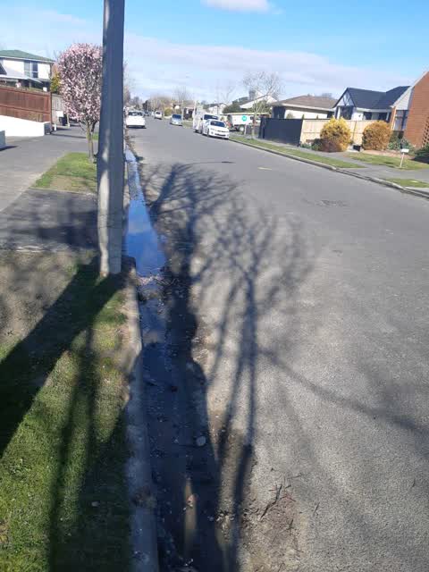 Roading/Streets, a report photo
