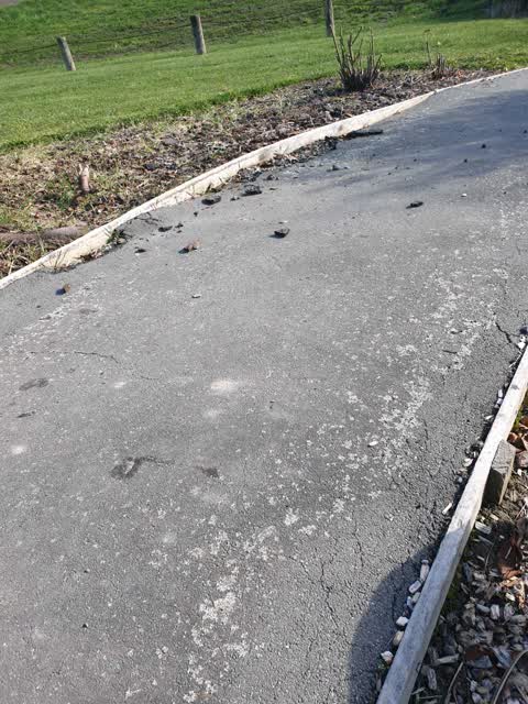 Parks, a report photo