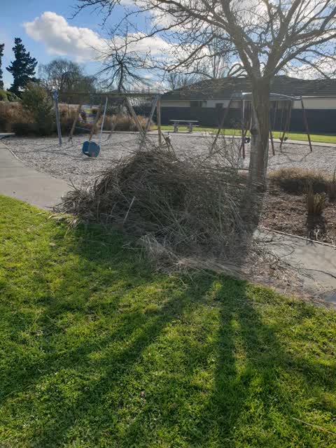 Parks, a report photo