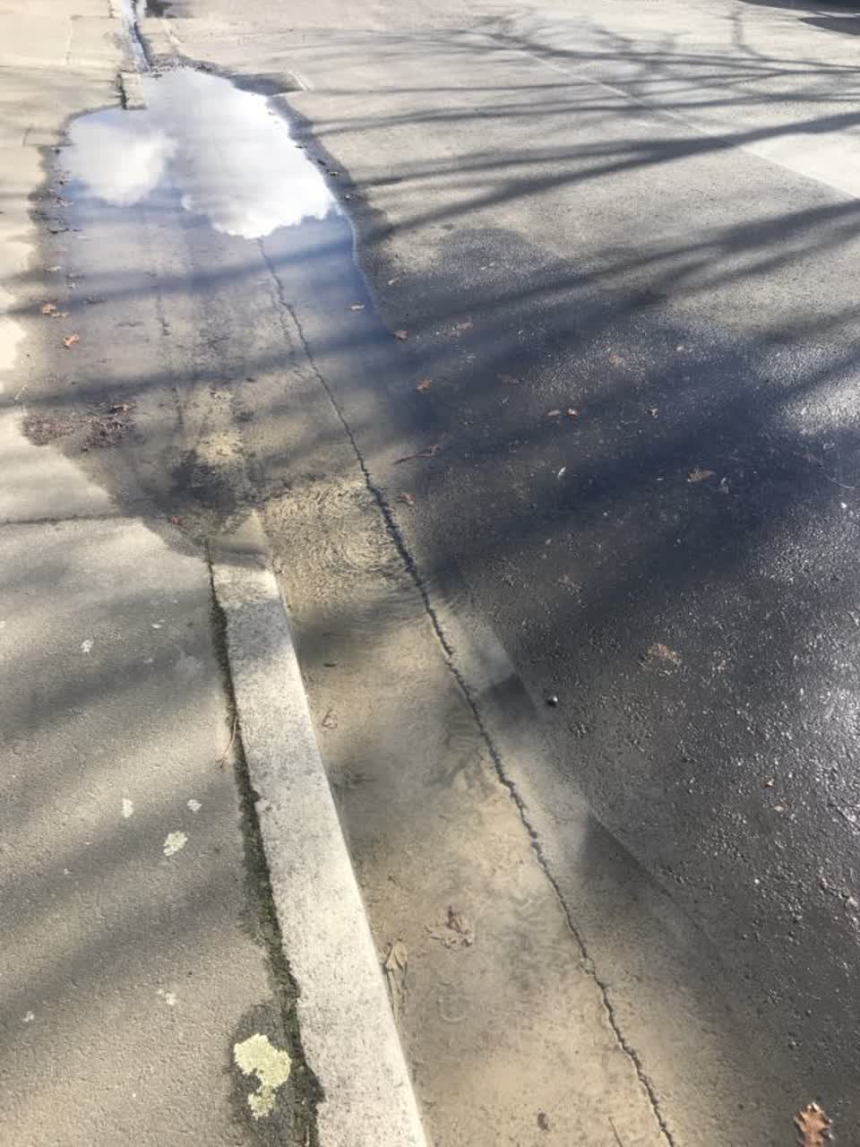 The photograph attached to this water supply report