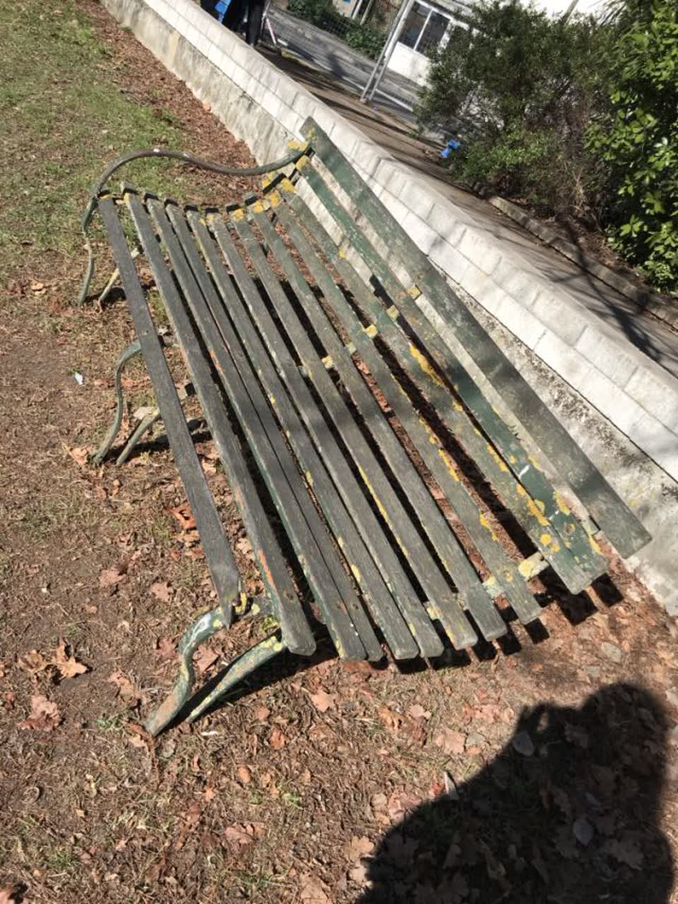The photograph attached to this parks report