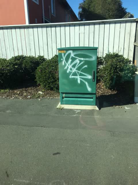 Graffiti, a report photo