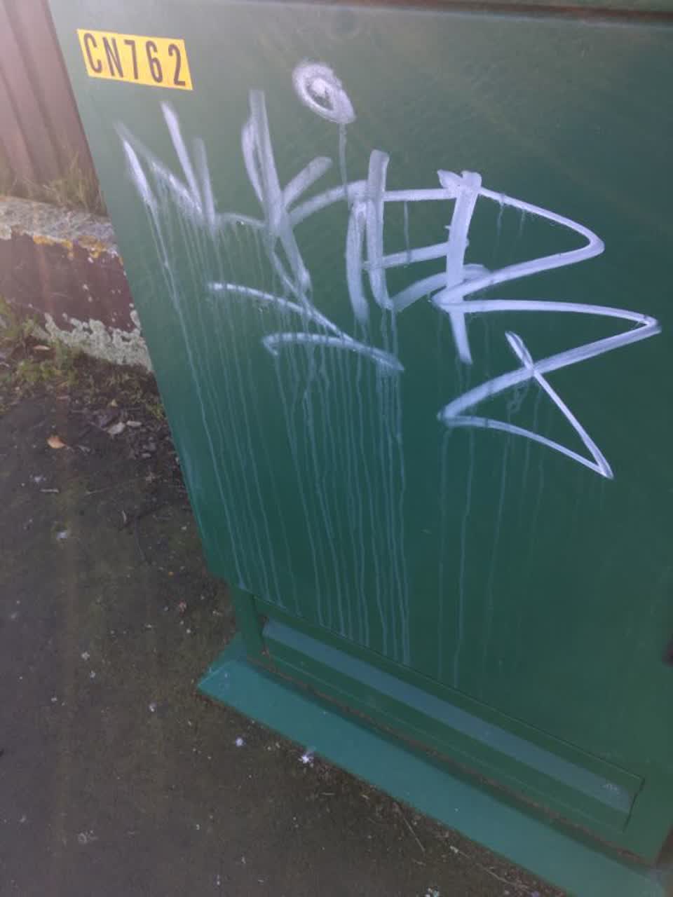 The photograph attached to this graffiti report